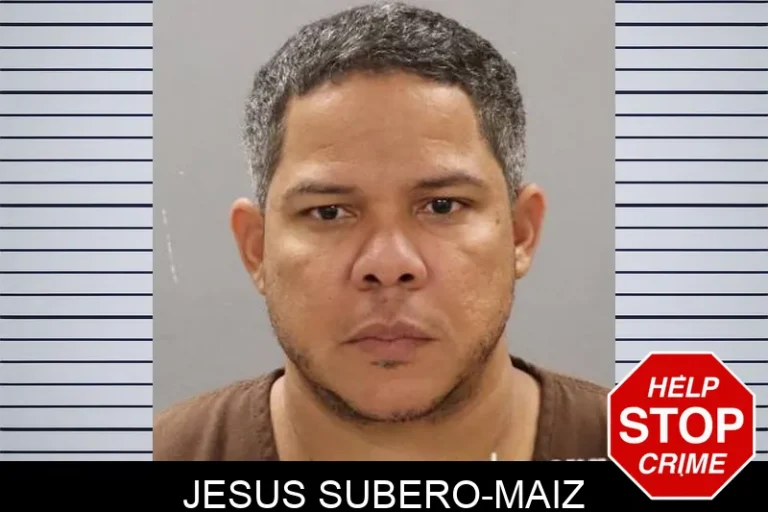 Jesus Subero-Maiz