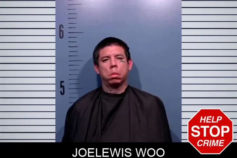 JoeLewis Woo
