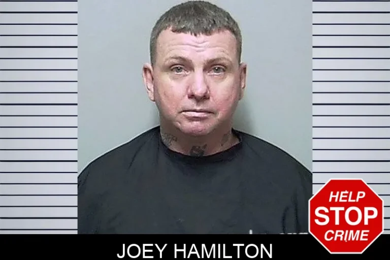 Joey Hamilton