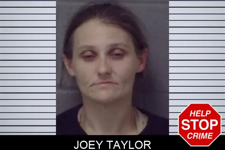 Joey Taylor