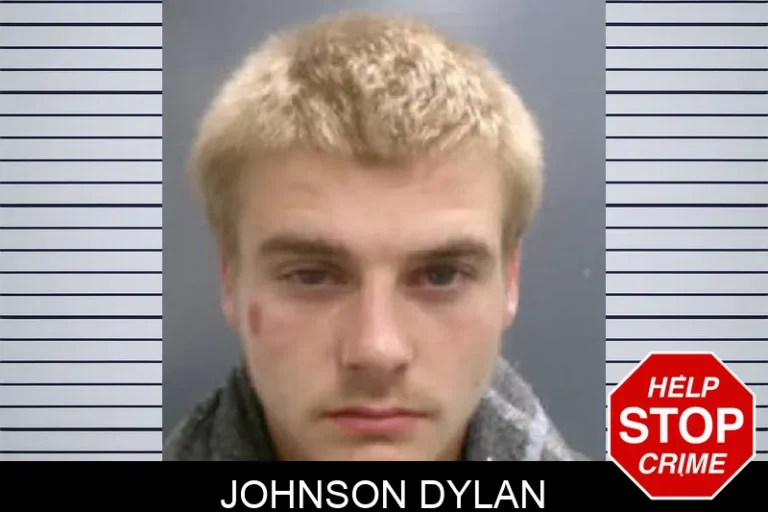 Johnson Dylan