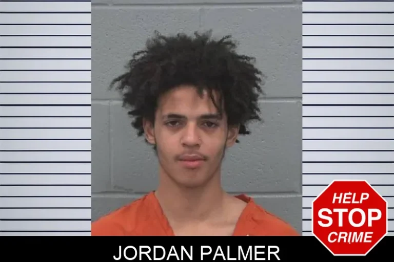 Jordan Palmer