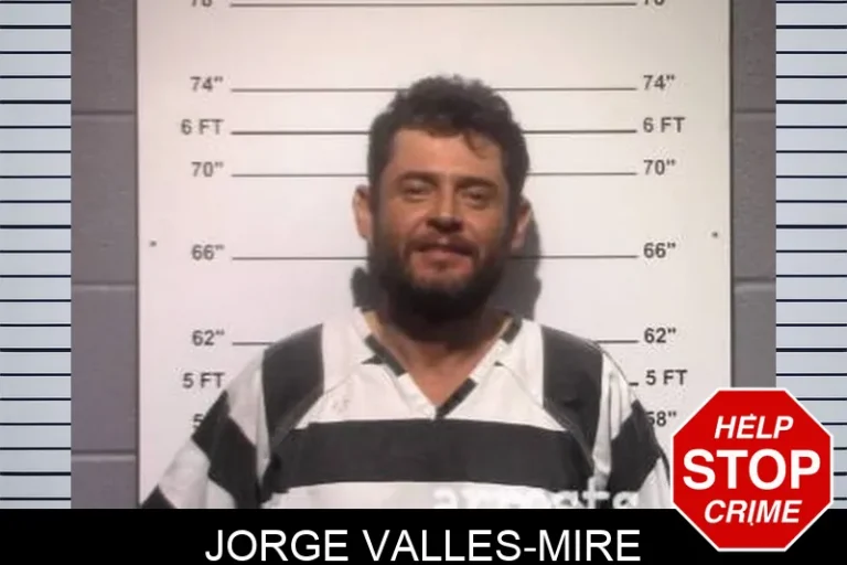 Jorge Valles-Mire