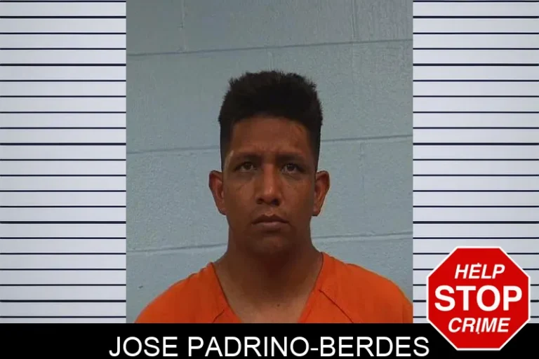 Jose Padrino-Berdes
