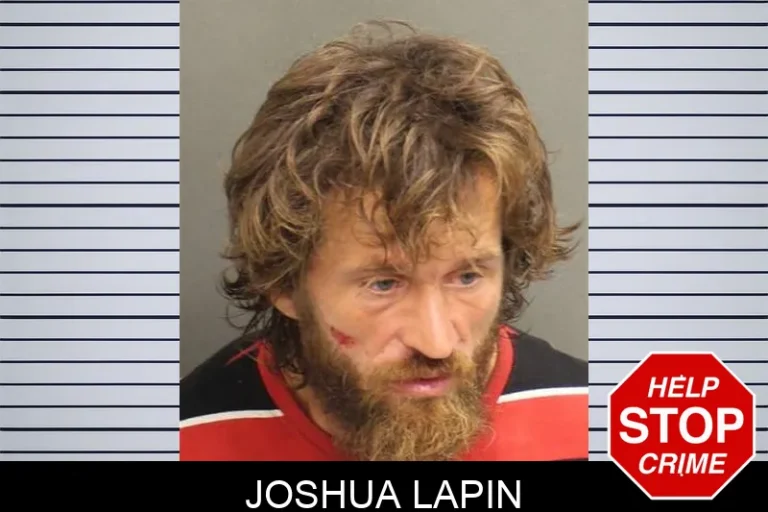 Joshua Lapin