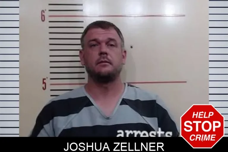 Joshua Zellner
