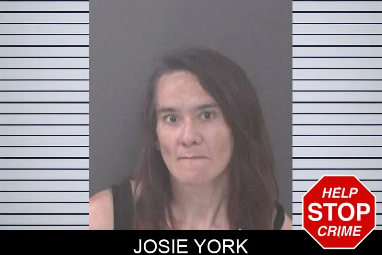 Josie York