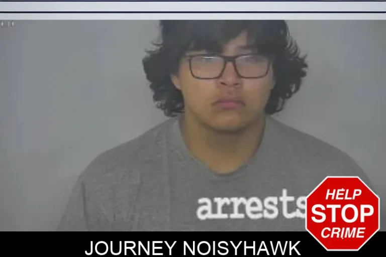 Journey Noisyhawk