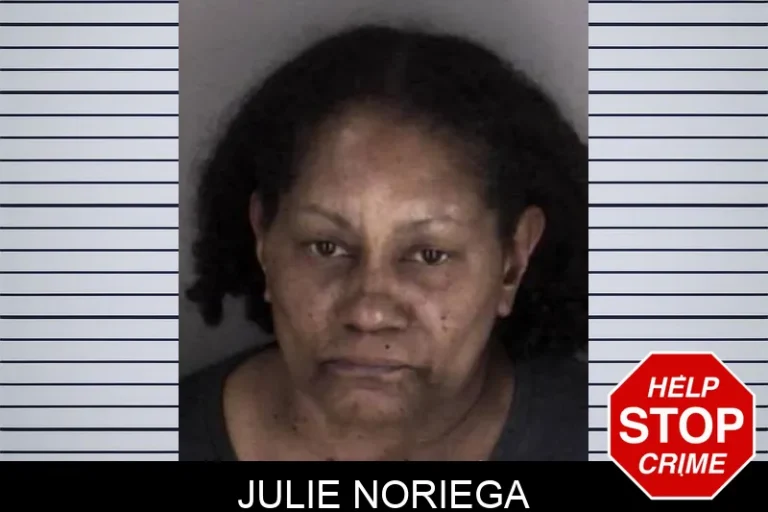 Julie Noriega