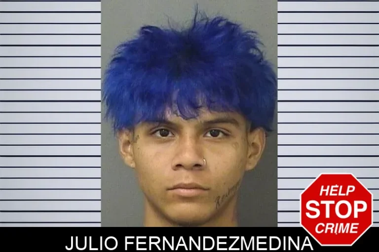 Julio Fernandezmedina