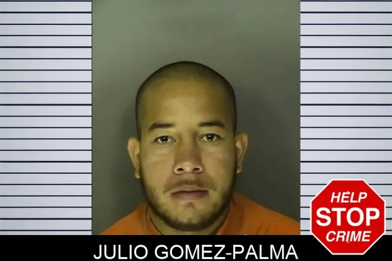Julio Gomez-Palma