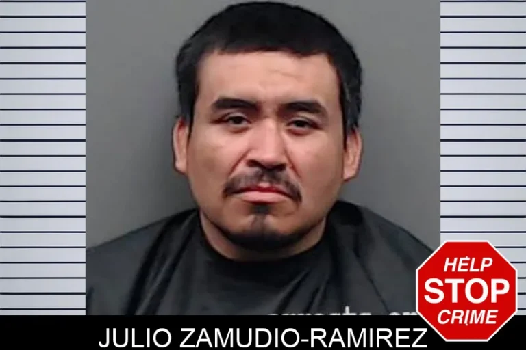 Julio Zamudio-Ramirez