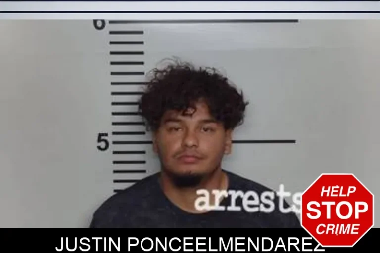 Justin PonceElmendarez