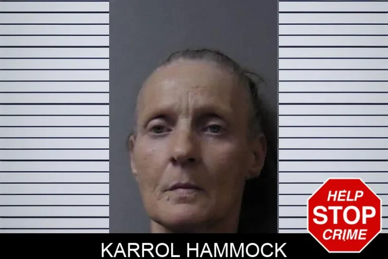 Karrol Hammock