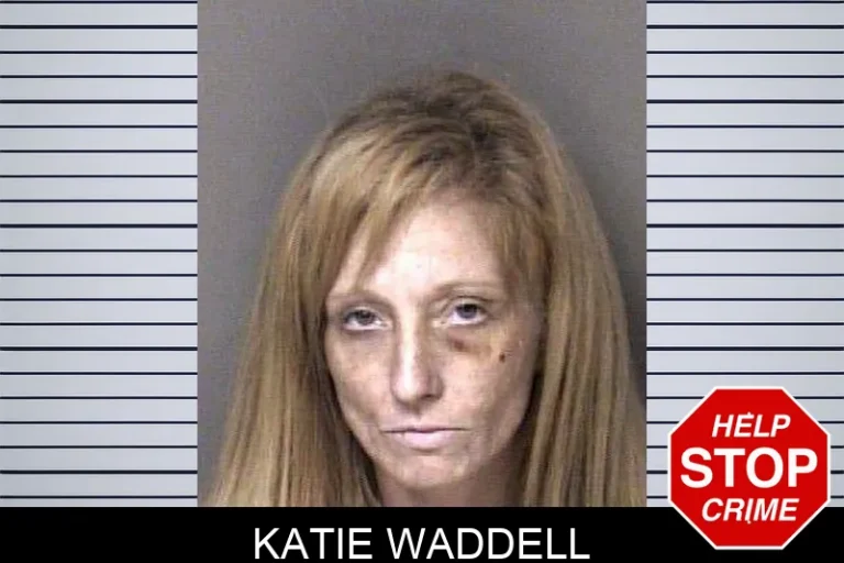 Katie Waddell