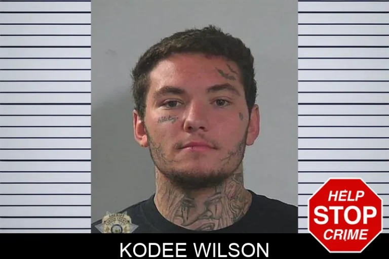 Kodee Wilson