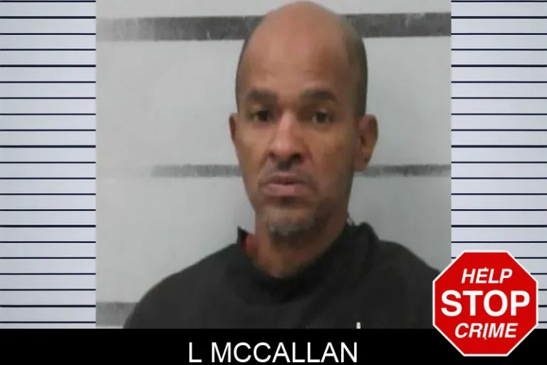 L McCallan