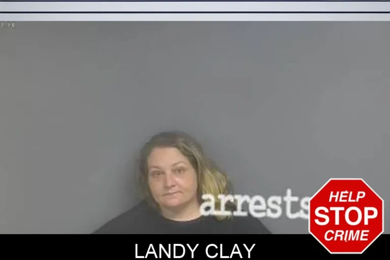 Landy Clay
