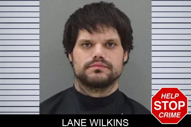 Lane Wilkins
