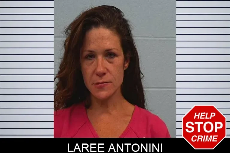 Laree Antonini