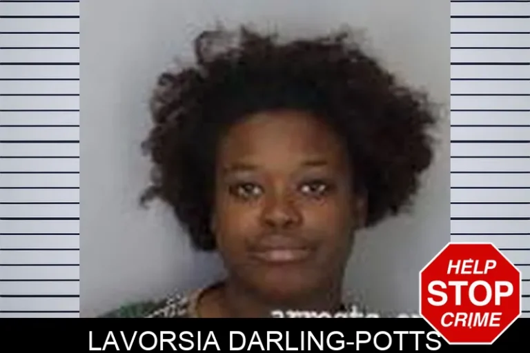 Lavorsia Darling-Potts