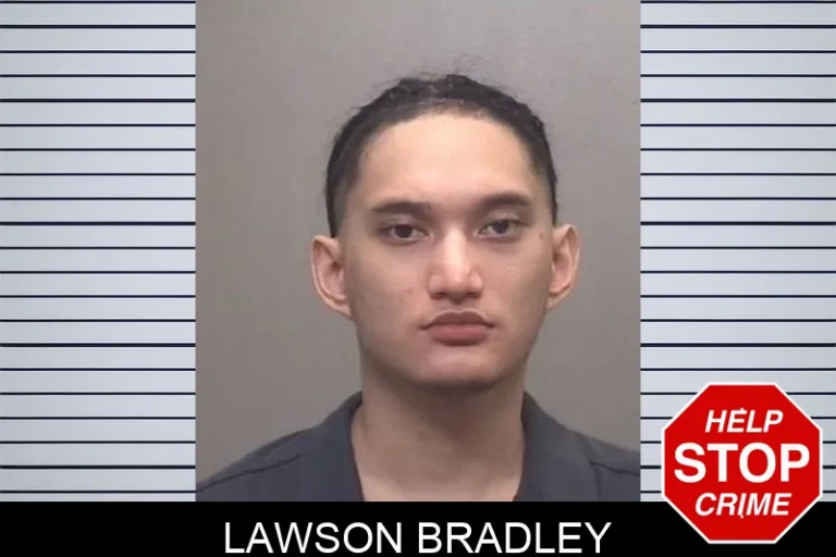 Lawson Bradley