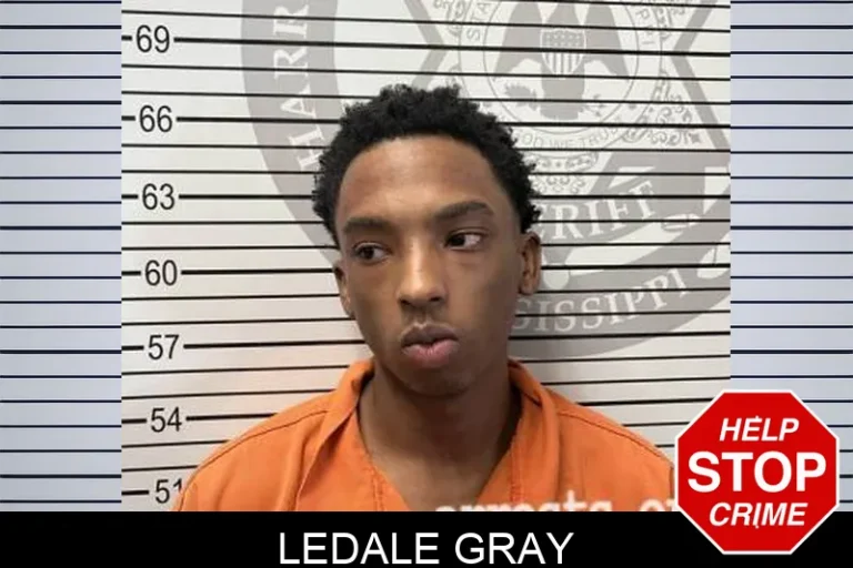 Ledale Gray