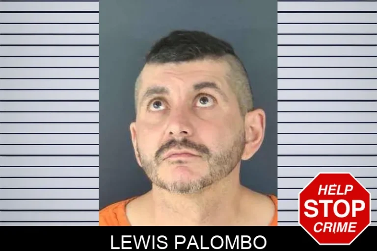 Lewis Palombo