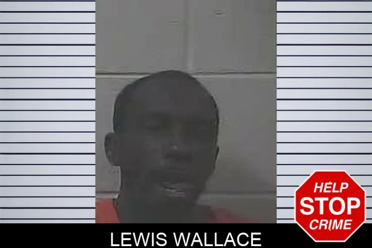 Lewis Wallace