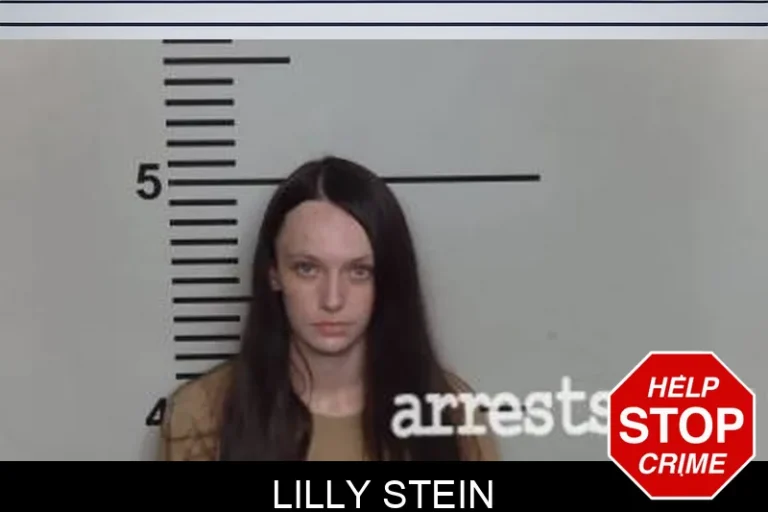 Lilly Stein