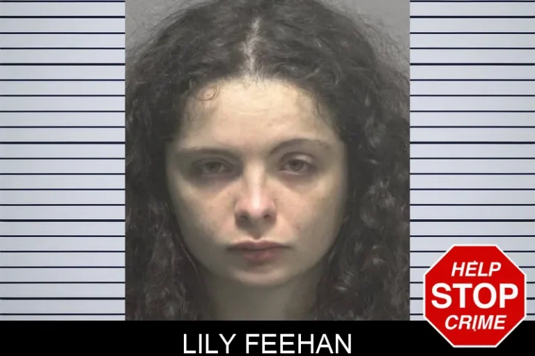 Lily Feehan