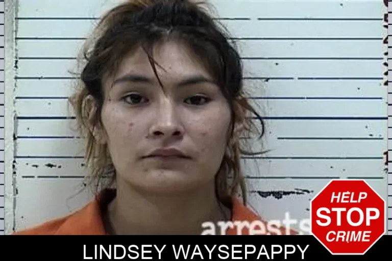 Lindsey Waysepappy