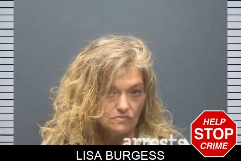 Lisa Burgess