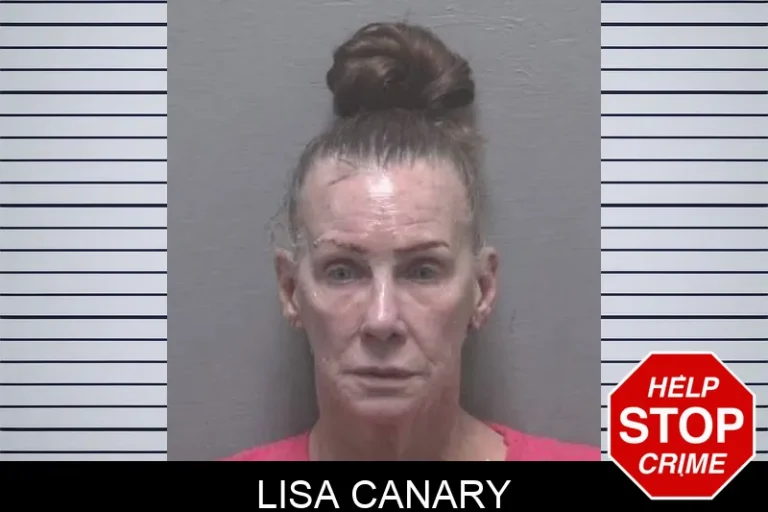 Lisa Canary