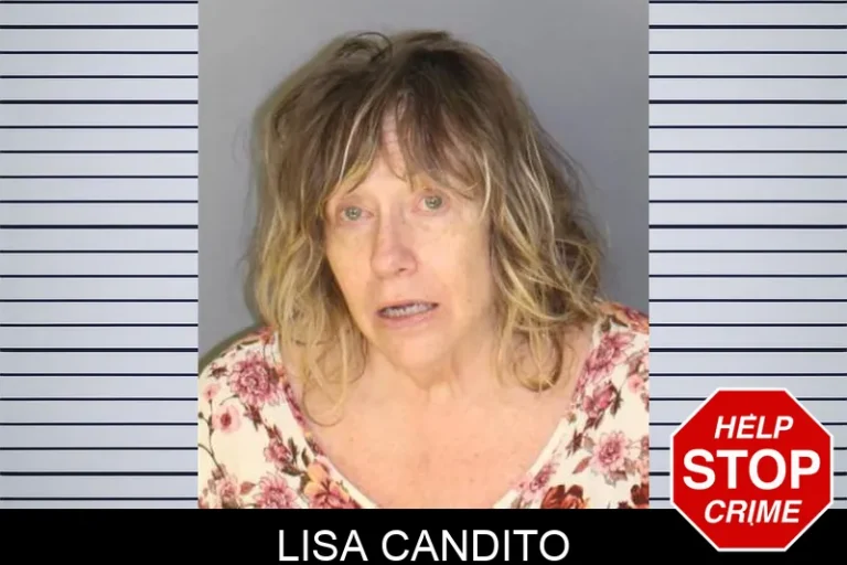 Lisa Candito