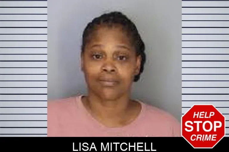 Lisa Mitchell