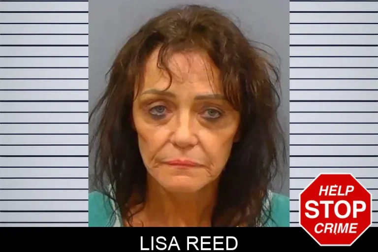 Lisa Reed