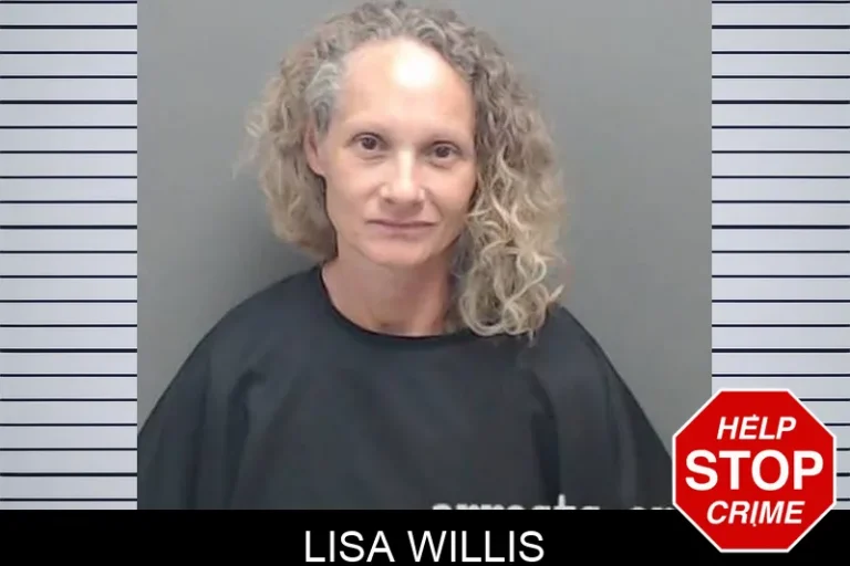Lisa Willis
