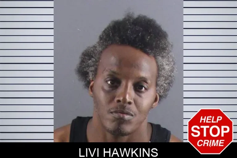 Livi Hawkins