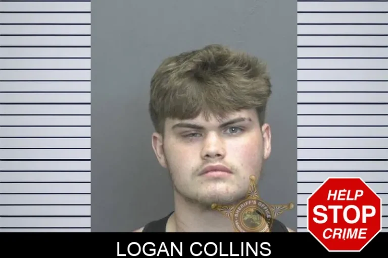 Logan Collins