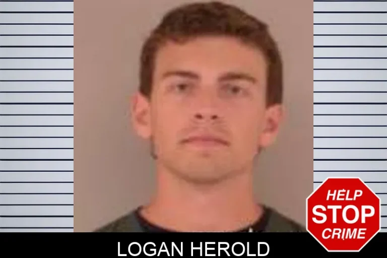 Logan Herold