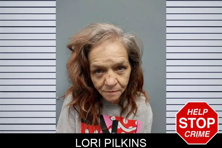 Lori Pilkins