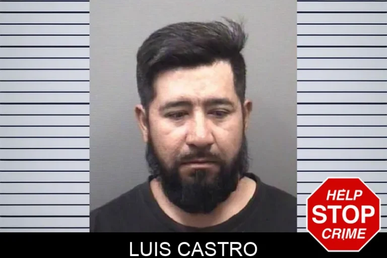 Luis Castro