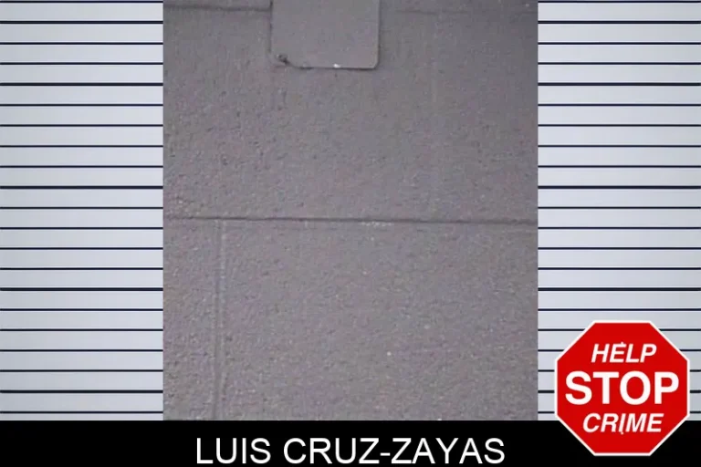 Luis Cruz-Zayas