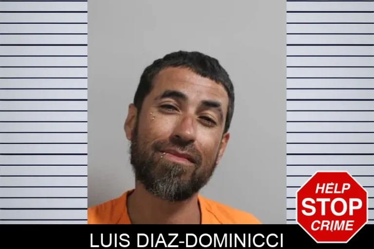Luis Diaz-Dominicci