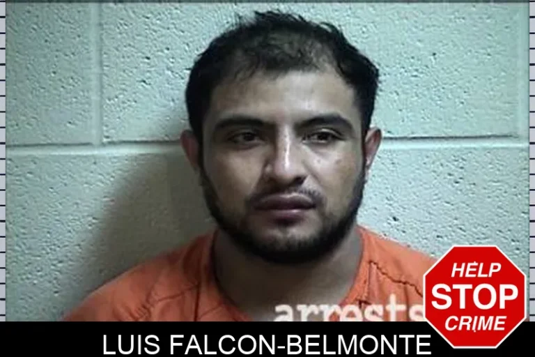 Luis Falcon-Belmonte