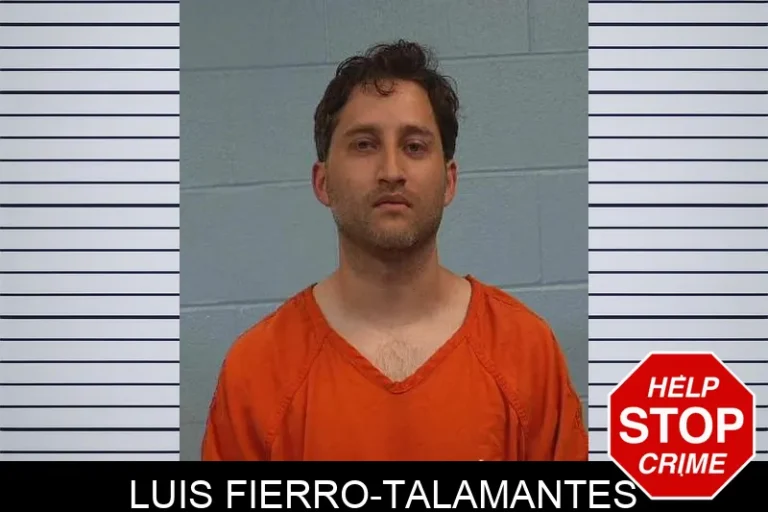 Luis Fierro-Talamantes