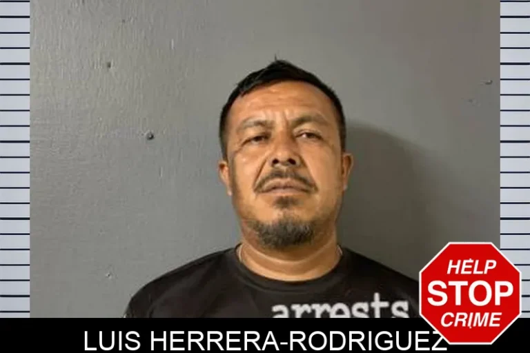 Luis Herrera-Rodriguez