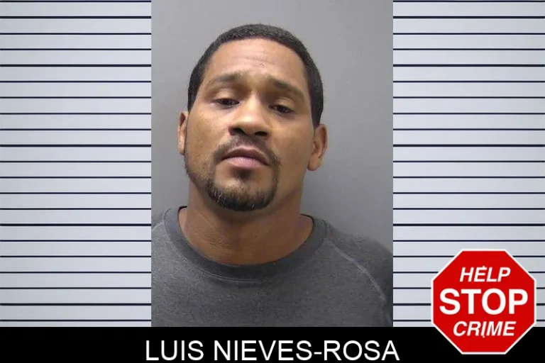 Luis Nieves-Rosa