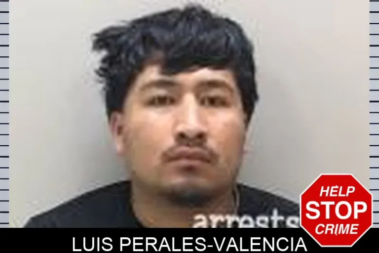 Luis Perales-Valencia